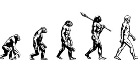 Timeline: EVOLUZIONE DELL'UOMO