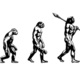 Evoluzione uomo