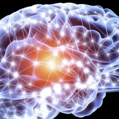 Timeline: Développement du cerveau