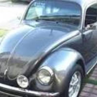 Timeline: HISTORIA DEL VOCHO