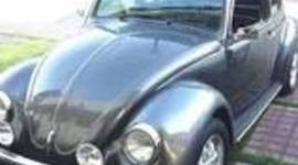 Timeline: HISTORIA DEL VOCHO