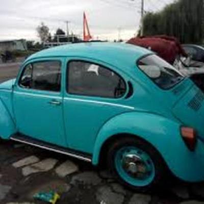 Timeline: historia del vocho