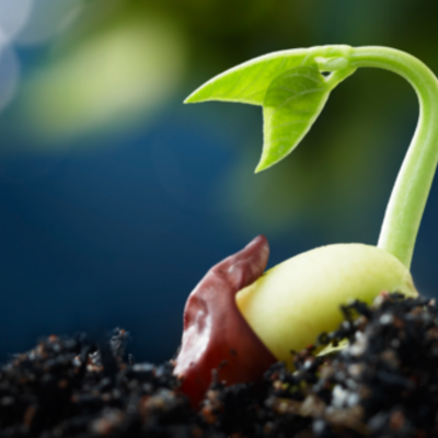 Timeline: “Reseña histórica del cultivo de tejidos vegetales”