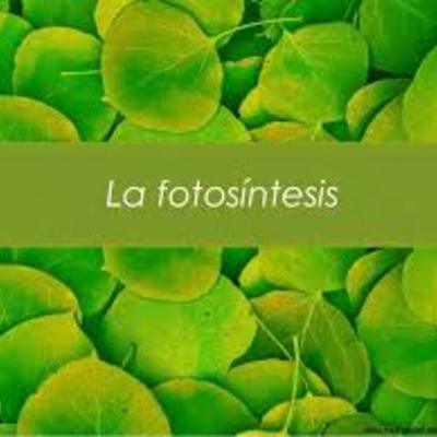 Timeline: Historia de la Fotosíntesis