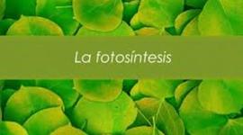 Timeline: Historia de la Fotosíntesis