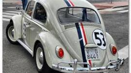 Timeline: HISTORIA DEL VW