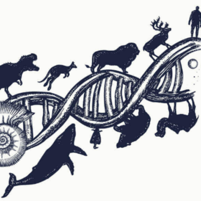 Timeline: origins of life