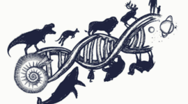 Timeline: origins of life