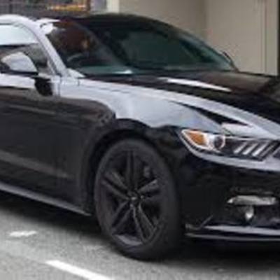 Timeline: historia del muatang