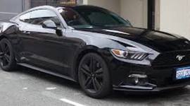 Timeline: historia del muatang