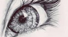 Timeline: History of drawing by Yanely