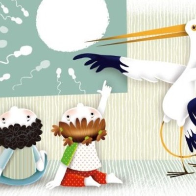 Timeline: Educación sexual - (Modelos)