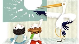 Timeline: Educación sexual - (Modelos)