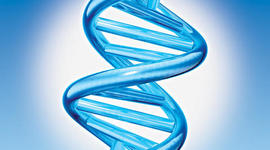 Timeline: DNA Timeline Thing