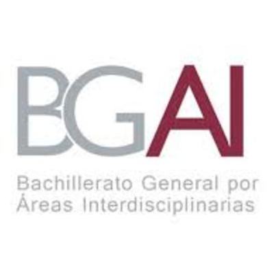 Timeline: Responsabilidades del Asesor de BGAI