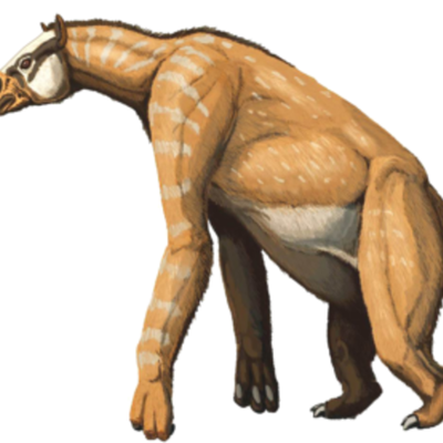 Timeline: Pre-entrega  -Animales Extintos-