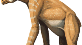 Timeline: Pre-entrega  -Animales Extintos-