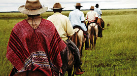 Timeline: Línea de tiempo del Plan Nacional de Clarificación de la Propiedad