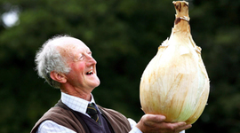 Timeline: Progressive Era