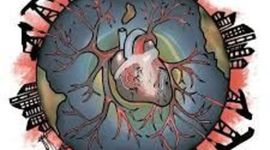 Timeline: Eje cronológico