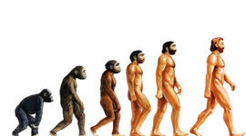 Timeline: The Evolution of The Human Being