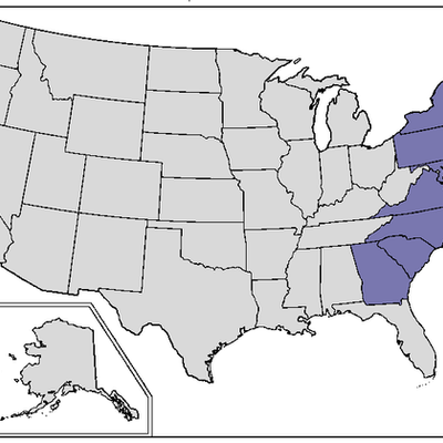 Timeline: Georgia and the 12 Colonies