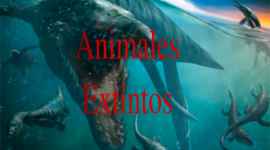 Timeline: Animales extintos del mundo