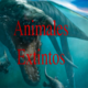 Dinosaurios marinos
