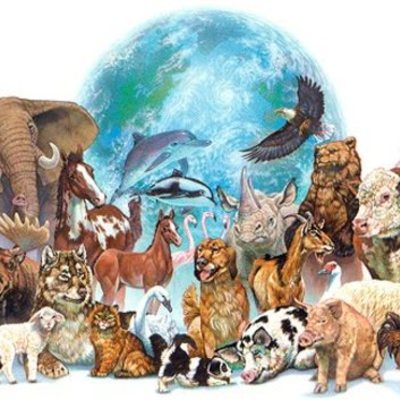 Timeline: ESPECIES EXTINTAS