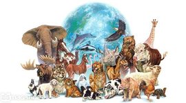 Timeline: ESPECIES EXTINTAS