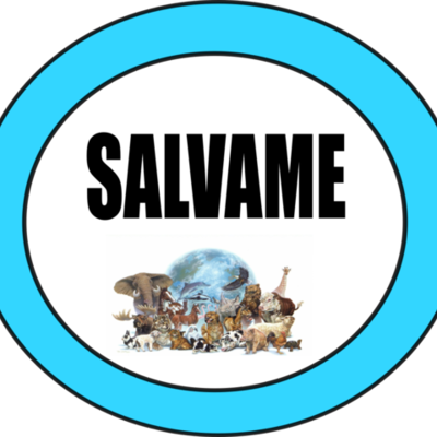 Timeline: Animales Extintos y en vía de Extinción.