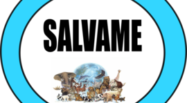 Timeline: Animales Extintos y en vía de Extinción.