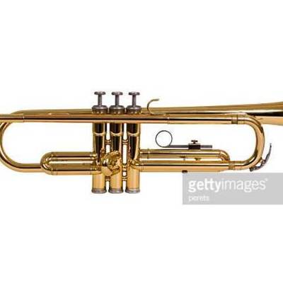 Timeline: I've been in band for 3 years, and have played trumpet 2/3 years. It's my favorite.