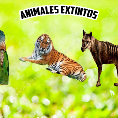 Timeline: Animales Extintos