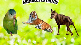 Timeline: Animales Extintos