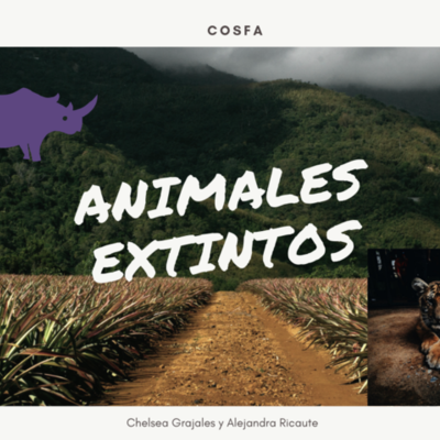 Timeline: Animales extintos