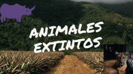 Timeline: Animales extintos