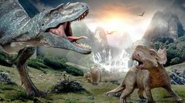 Timeline: Life timeline