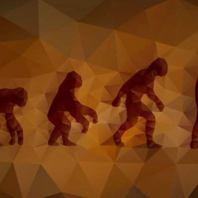 Timeline: Evolution of life