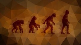 Timeline: Evolution of life