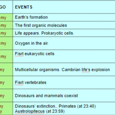 Timeline: THE LIFE CLOCK