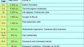 Timeline: THE LIFE CLOCK