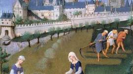 Timeline: Evolució de la pagesia