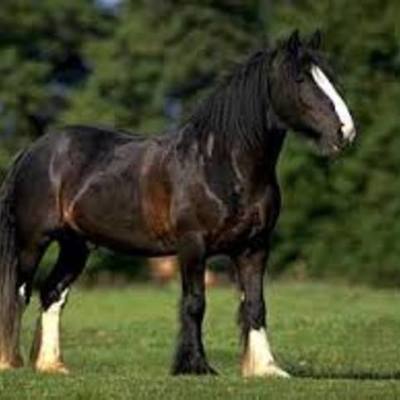 Timeline: My timeline