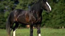 Timeline: My timeline