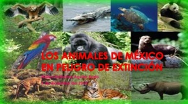 Timeline: Los animales en vida de extinción y reproducción asexual y sexual
