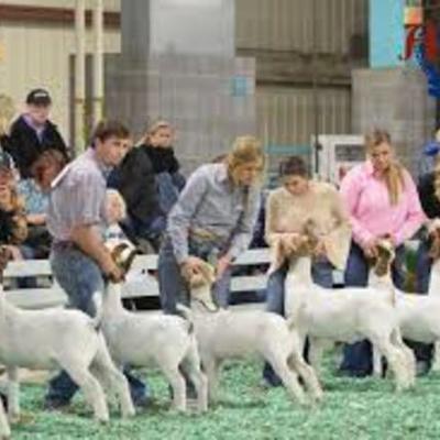 Timeline: my cowgirl life