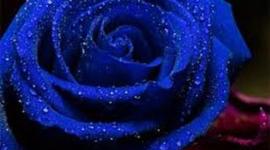 Timeline: My time line