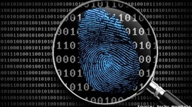 Timeline: Forensics Throughout the Centuries by Audrey Lara