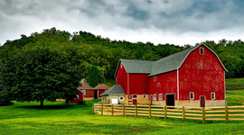 Timeline: Kloe's Timeline